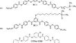 Dielectric Studies on a Bent-Core Liquid Crystal Taken in Cells Fabricated with ITO Substrates Functionalized with Bent-Core Molecules