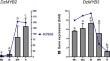 Unveiling phenylpropanoid regulation: the role of DzMYB activator and repressor in durian (Durio zibethinus) fruit.