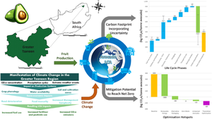 Life Cycle Assessment of an Avocado: Grown in South Africa—Enjoyed in Europe