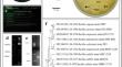 Characterization of heat, salt, acid, alkaline, and antibiotic stress response in soil isolate Bacillus subtilis strain PSK.A2.