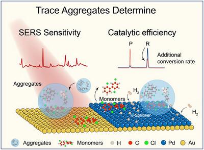 Unveiling the exceptional evolution of solute aggregates: From micro to trace, solution to interface