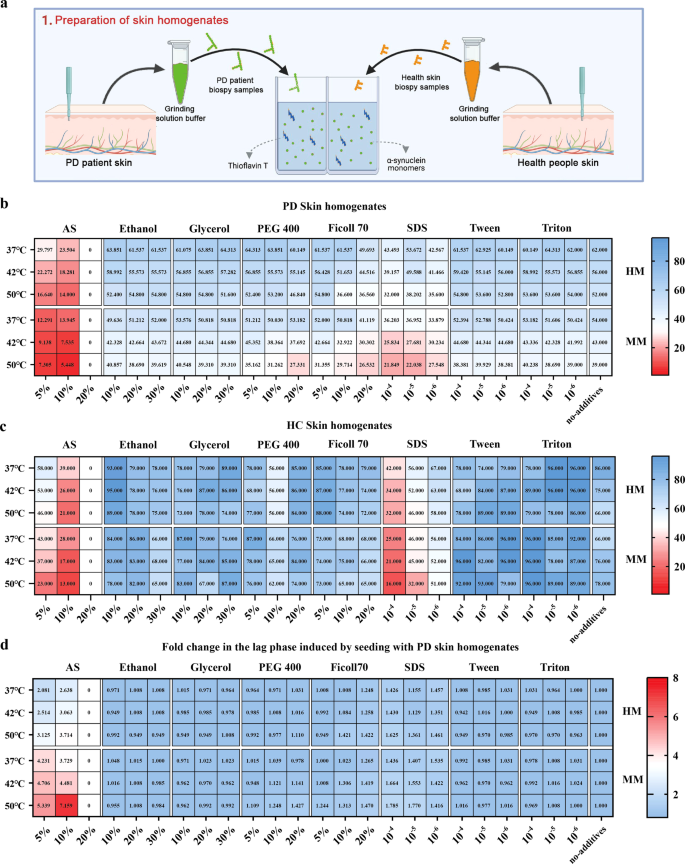 A skin-specific α-Synuclein seeding amplification assay for diagnosing Parkinson's disease.