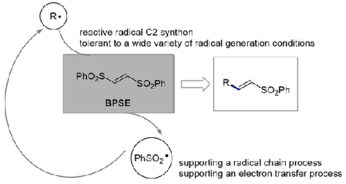 1,2-Bis(phenylsulfonyl)ethylene (BPSE): A Potent Radical C2 Synthon Available in the Radical and Electron-Transfer-Based Organic Synthesis