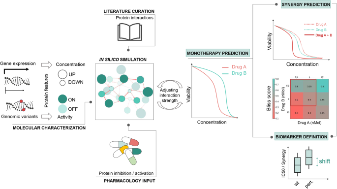 Network-driven cancer cell avatars for combination discovery and biomarker identification for DNA damage response inhibitors.