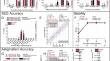 Three-Month Comprehensive Outcomes of Topography-Guided LASIK Versus Keratorefractive Lenticule Extraction (KLEx): A Prospective Contralateral Study.