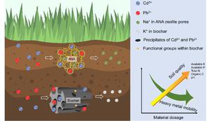 Mechanistic insights into the synergetic remediation and amendment effects of zeolite/biochar composite on heavy metal-polluted red soil