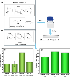 Environmentally green film blends: polyvinyl alcohol (PVA)/cellulose acetate (CA)/potato peel starch as an alternative to petroleum plastics