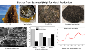 Feasibility of Biochar from Seaweed for Ferroalloy Production