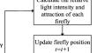 UAV flight path planning optimization