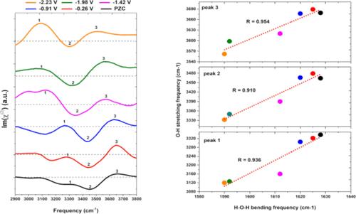 Modeling Vibrational Sum Frequency Generation Spectra of Interfacial Water on a Gold Surface: The Role of the Fermi Resonance