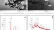 Chitosan/ZnO nanocomposites for improving the growth and reducing the toxicity of Zn in Sorghum bicolor (L.) Moench plants