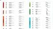 Mapping the Behavioral Signatures of Shank3b Mice in Both Sexes.