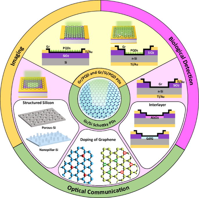 Graphene photodetectors integrated with silicon and perovskite quantum dots.