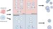 The Role of Extracellular Vesicles in Pandemic Viral Infections.