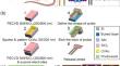 Implantable probe with integrated reference electrode for in situ neural signal and calcium ion monitoring