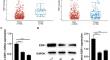 Cardamomin Inhibits the Proliferation and Tumorigenesis of Bladder Cancer by ESR1 in PI3K/AKT Pathway.