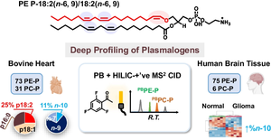 Deep profiling of plasmalogens by coupling the Paternò-Büchi derivatization with tandem mass spectrometry.