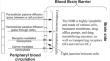 Glutathione transporter as a target for brain drug delivery