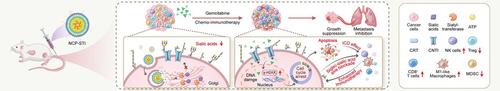 Sialic Acids Blockade-Based Chemo-Immunotherapy Featuring Cancer Cell Chemosensitivity and Antitumor Immune Response Synergies.