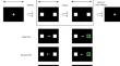 Neurocognitive performance of badminton players at different competitive levels in visuospatial attention tasks.