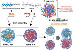 Tumor targeting in situ aggregation of nanoparticle-to-nanoparticle strategy to simultaneously induce ferroptosis and immunogenic cell death using complementary heparin and protamine molecules