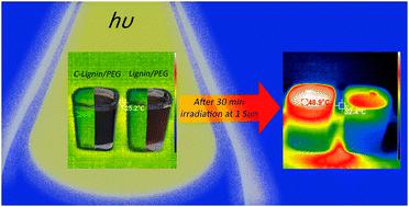 Photo-thermal conversion ability of PEG and H2O-based microfluids of sodium lignosulfonate and its carbonized form†