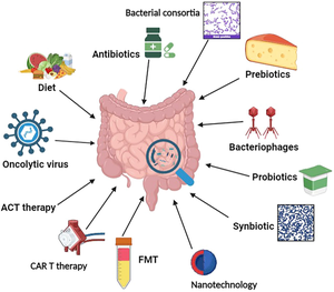 Revealing the therapeutic properties of gut microbiota: transforming cancer immunotherapy from basic to clinical approaches.