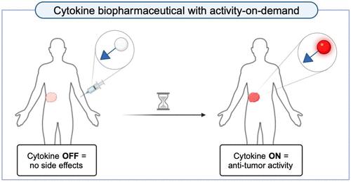 Cytokine Biopharmaceuticals with "Activity-on-Demand" for Cancer Therapy.