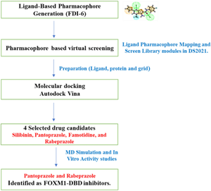 A drug repurposing study identifies novel FOXM1 inhibitors with in vitro activity against breast cancer cells.