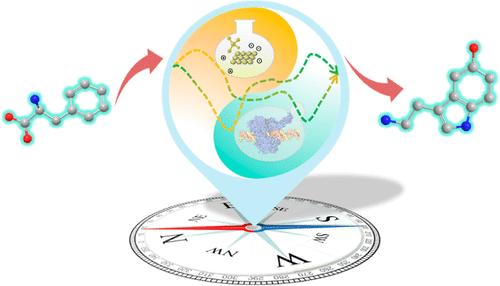 Developing BioNavi for Hybrid Retrosynthesis Planning