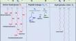 Correction: Structure and Function of Cationic and Ionizable Lipids for Nucleic Acid Delivery.