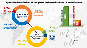 Specialized metabolites of the genus Zephyranthes Herb.: a critical review on taxonomy and phytochemistry