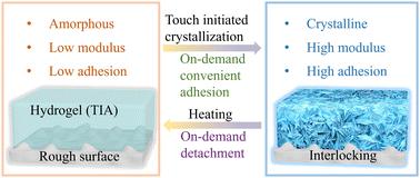 Touch initiated on-demand adhesion on rough surfaces†