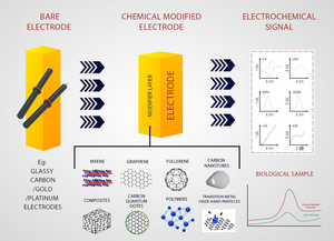 Recent advances in electrochemical biosensors for the determination of biomolecules on modified and unmodified electrodes