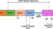 Multiple Roles of Apolipoprotein E4 in Oxidative Lipid Metabolism and Ferroptosis During the Pathogenesis of Alzheimer's Disease.