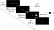 Impact of aging on crossmodal attention switching.