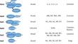 Bioinformatic Analysis Reveals the Association of Human N-Terminal Acetyltransferase Complexes with Distinct Transcriptional and Post-Transcriptional Processes.