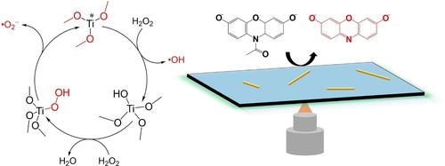 Fluorogenic Reaction Probes Defect Sites on Titanium Dioxide Nanoparticles