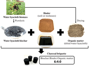 Optimization of Mixing Ratios of Binders and Organic Matter for Charcoal Briquette Using Biochars Derived from Water Hyacinth