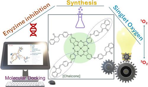 Peripheral (E)-2-[(4-hydroxybenzylidene)-3,4-dihydronaphthalen-1(2H)-one)]-coordinated phthalocyanines with improved enzyme inhibition properties and photophysicochemical behaviors