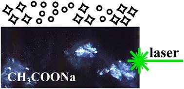 The role of cavitation and gas bubbles in the non-photochemical laser-induced nucleation of sodium acetate†