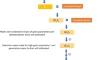 Harnessing potential grain traits from pre-breeding backcross introgression lines of wild emmer wheat