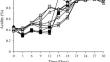 Determination of biogenic amine-producing lactic acid bacteria in kimchi varieties through in vitro analysis and low temperature fermentation