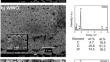 Assessing tungsten-based electrodes coated with W and Ce oxides for pH sensing applications