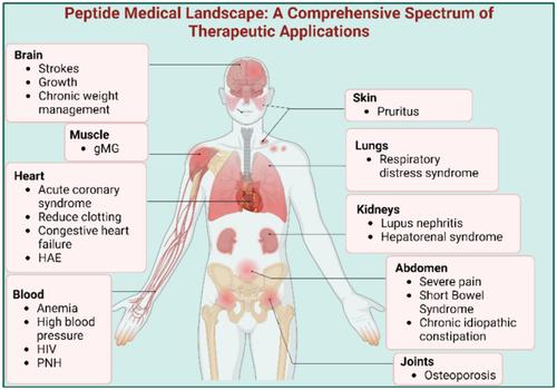 FDA's stamp of approval: Unveiling peptide breakthroughs in cardiovascular diseases, ACE, HIV, CNS, and beyond