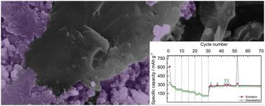 Electrochemical characterization of γ-Fe2O3 and a reduced graphene oxide composite as a sustainable anode material for Na-ion batteries†