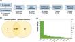 Drug to genome to drug: a computational large-scale chemogenomics screening for novel drug candidates against sporotrichosis.