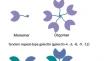 Emerging Roles of Galectin-3 in Pulmonary Diseases.