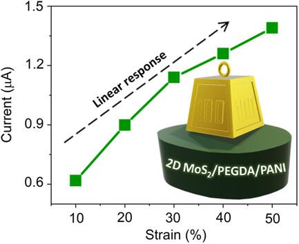 Hybrid Piezoresistive 2D MoS2/PEGDA/PANI Covalent Hydrogels for the Sensing of Low‐to‐Medium Pressure