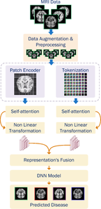 Computer-aided diagnosis of Alzheimer’s disease and neurocognitive disorders with multimodal Bi-Vision Transformer (BiViT)